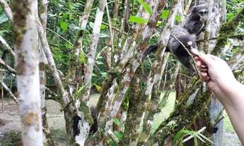 Imagem 6: ITANHAÉM - Chácara - Jardim São Fernando