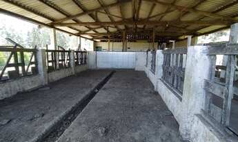 Imagem 5: Sítio Auto Sustentavél em Vitor Meireles - SC