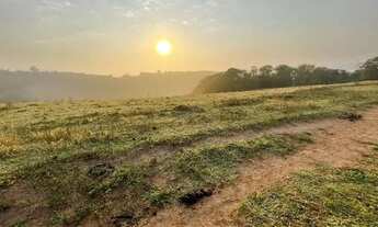 Imagem: Lote/Terreno para venda possui 1000 metros