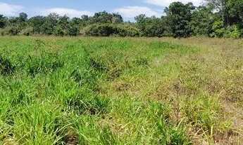 Imagem 3: Fazenda em Guarai. 95 mil por alqueire