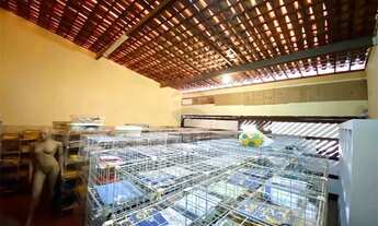 Imagem 5: Oportunidade Casa 900M² de terreno Para Venda em Capim Macio