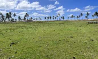 Imagem 7: Vendo ou Troco Terreno pé na areia-95 mil