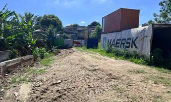 Imagem 5: Terreno perto do Mercado Adônai aluga ou vende mato alto