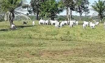 Imagem: Fazenda de 104 alqueires em Baliza-GO