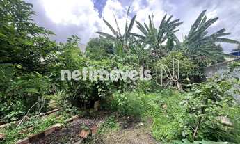 Imagem 4: Área / Lote com casa Paquetá