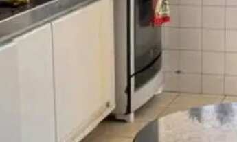 Imagem 7: Apartamento com 4 Quartos em Casa Caiada, Olinda