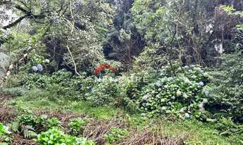 Imagem 6: Lote em Rua 21 - Alpes - São Francisco de Paula/RS