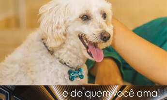 Imagem 5: Temporada praia porto de galinhas São