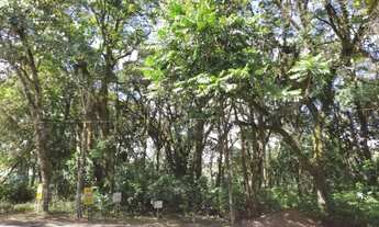 Imagem 6: Terreno para Venda em Nova Petrópolis, Juriti