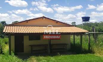 Imagem 5: Fazenda 31 alqueires (150 hectares) Silvania - GO