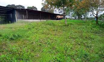 Imagem: 230 mil reais chacara urbana pomar produzindo