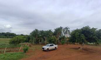 Imagem 7: Ótima propriedade!Oportunidade única