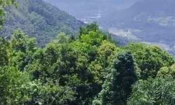 Imagem 6: Terreno para Venda em Nova Petrópolis, Juriti