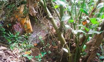 Imagem 2: CHÁCARA RECREIO SAMAMBAIA - GOIANIA