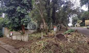 Imagem 3: IMOBILIARIA JUVEVE VENDE TERRENO BARREIRINHA RUA DO MARFIN, 239 ESQUINA RUA JACARANDA PROJ