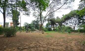 Imagem 2: AREA - ALVINÓPOLIS - SP