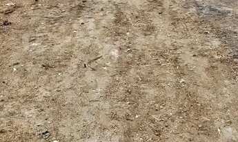 Imagem 3: Terreno no São cristovao 13x24m