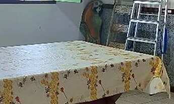 Imagem: Casa na praia de Catuama