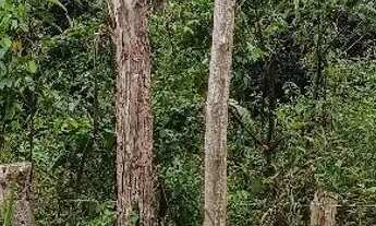 Imagem 7: Terreno 10x25 Bairro Branca Flor