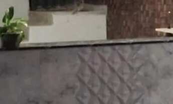 Imagem 6: Barracao agua e luz incluso