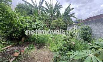 Imagem 5: Área / Lote com casa Paquetá