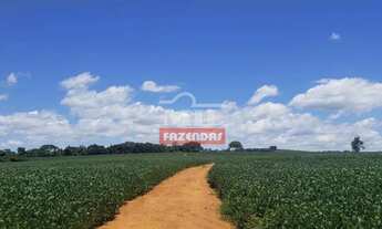 Imagem 3: Fazenda 31 alqueires (150 hectares) Silvania - GO