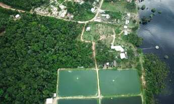 Imagem: Vendo Fazenda com 246 Hectares em Itacoatiara/
