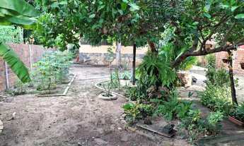 Imagem 6: Linda casa no bairro Zoobotânico