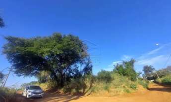 Imagem 2: Ótimo lote para VENDA!