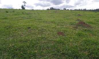 Imagem 4: Fazendinha 20.000m2 em Piedade Gerais