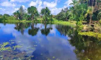 Imagem 5: Sitio a venda na Pa 454 estrada Bragança Augusto Corrêa com 2 quartos em - Bragança - PA