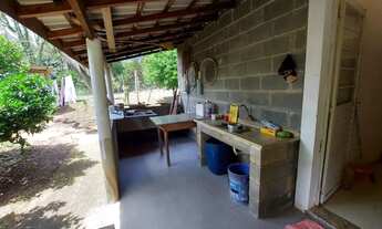 Imagem 4: CHACARA FORMADA Chácara com venda por R$285.000