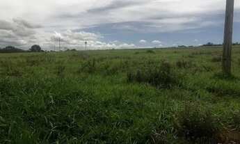 Imagem 5: SITIO 5 ALQUEIRES 100% CULTURA CORUMBA