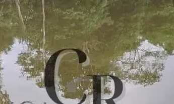 Imagem 7: Chácara em Bela Vista de Goiás