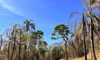Imagem 2: Imóvel para venda tem 1000 metros quadrados em Terra Preta (Terra Preta) - Mairiporã - SP