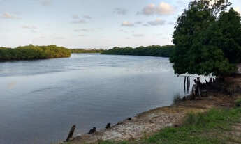 Imagem 6: 40 hectares as margens do Rio Ariquindá - Praia dos Carneiros