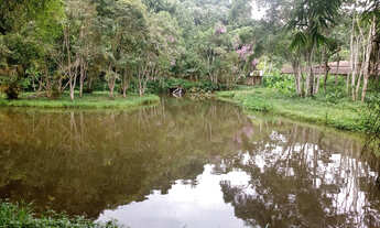 Imagem 6: Lindos 39 mil mts 2 lagos centro de Juquitiba