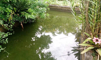 Imagem 2: Lindos 39 mil mts 2 lagos centro de Juquitiba