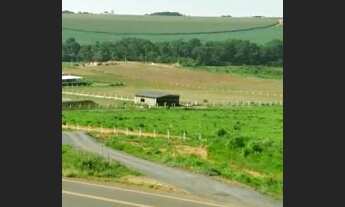 Imagem 7: Sítio com 2ha a venda