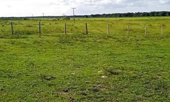 Imagem 4: Vendo Fazenda em Deuré Tocantins 232 Alq