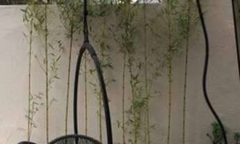 Imagem 3: Casa no condomínio Itororó - 3 suítes - 220m²