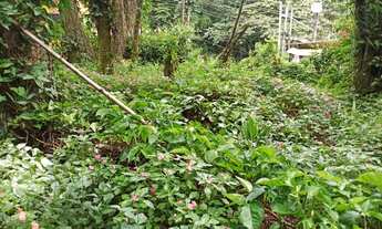 Imagem 3: Terreno em Boiçucanga