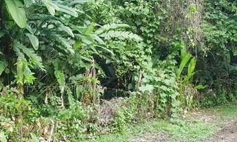 Imagem 3: Terreno em Boiçucanga