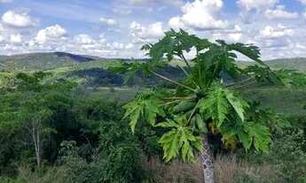 Imagem 7: Lote 360 M² Com Casa