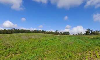 Imagem: Lote/Terreno para venda possui 500 metros