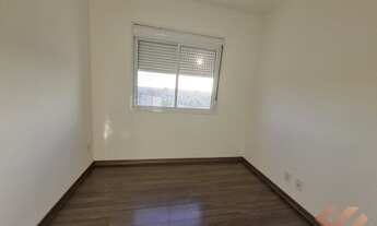 Imagem 7: PELOTAS - Padrão - Centro