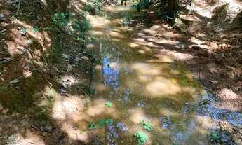 Imagem 3: Fazenda de 20 mil metros,riacho cristalino ,bela vista,bem localizado,Jaboticatubas