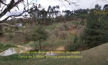 Imagem 6: CHACARA A VENDA EM CURITIBA 30KM REGIÃO METROPOLITÂNA