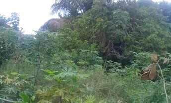 Imagem 3: Vendo Terreno lindo na Avenida do Gapara