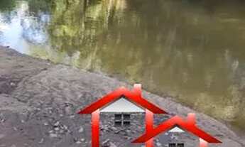 Imagem 5: Fazenda 74 Alqueires Região De Palestina /GO